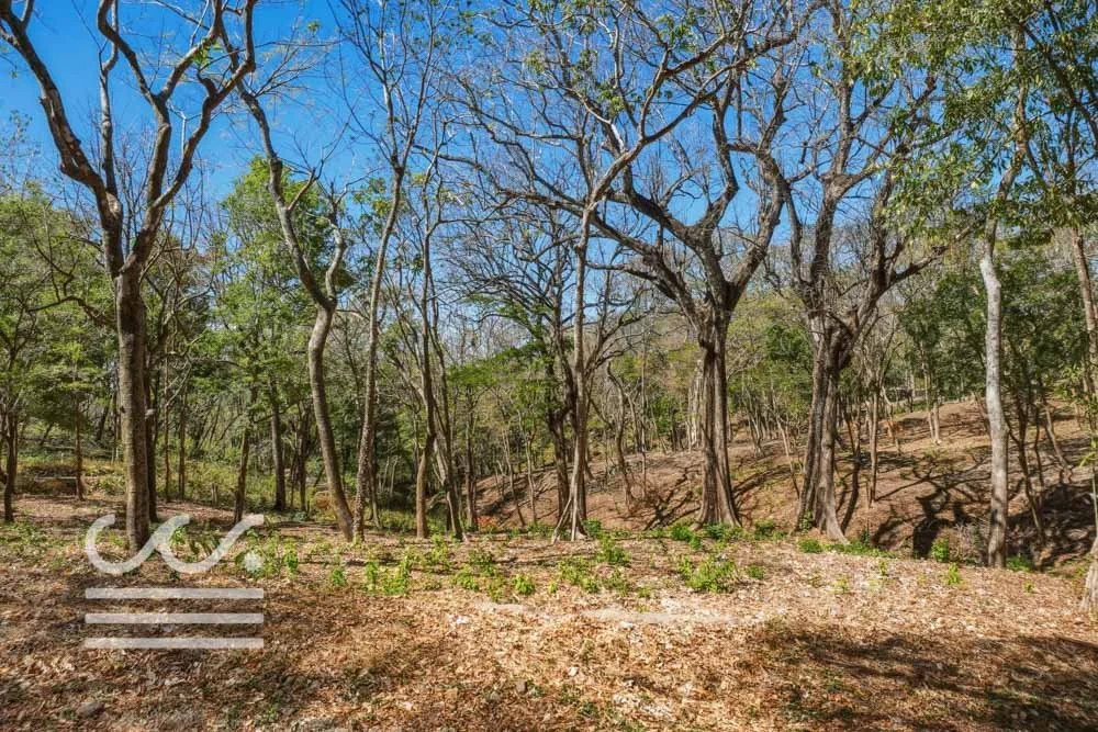 Delicias-Nathan-Lote-6C-Wanderlust-Sothebys-International-Realty-Nosara-Real-Estate-12.jpg