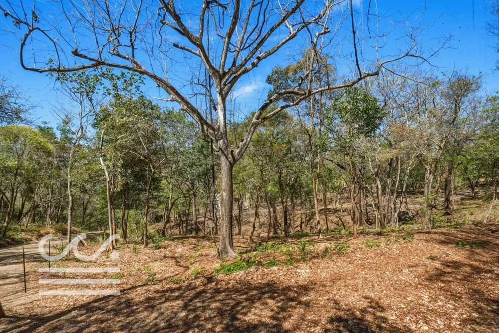 Delicias-Nathan-Lote-6C-Wanderlust-Sothebys-International-Realty-Nosara-Real-Estate-13.jpg
