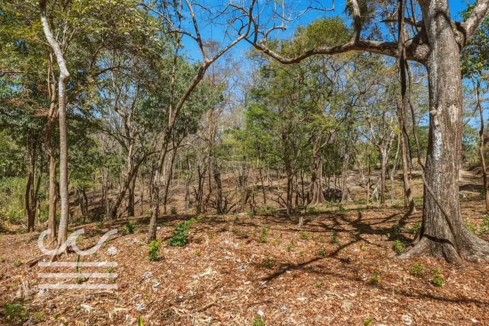 Delicias-Nathan-Lote-6C-Wanderlust-Sothebys-International-Realty-Nosara-Real-Estate-14.jpg