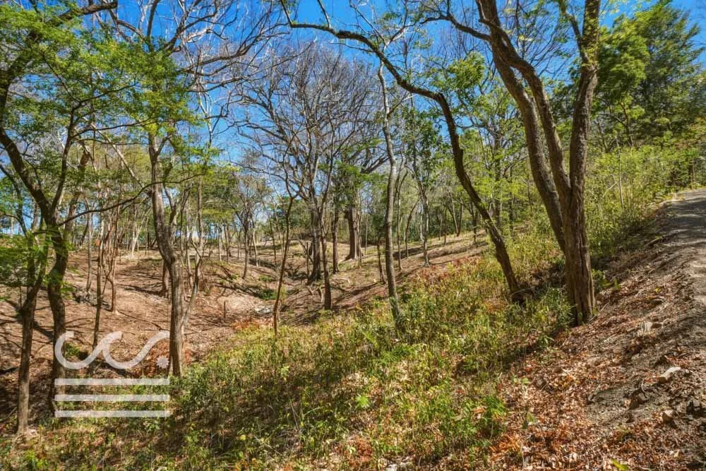 Delicias-Nathan-Lote-6C-Wanderlust-Sothebys-International-Realty-Nosara-Real-Estate-15.jpg