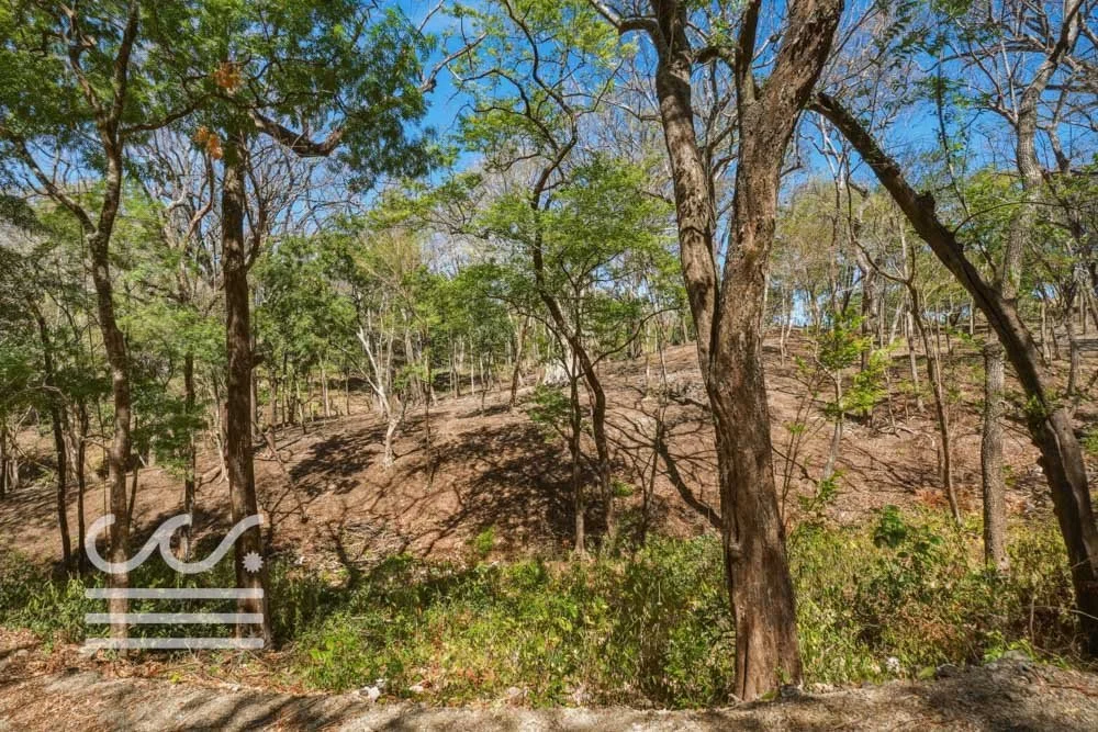 Delicias-Nathan-Lote-6C-Wanderlust-Sothebys-International-Realty-Nosara-Real-Estate-17.jpg