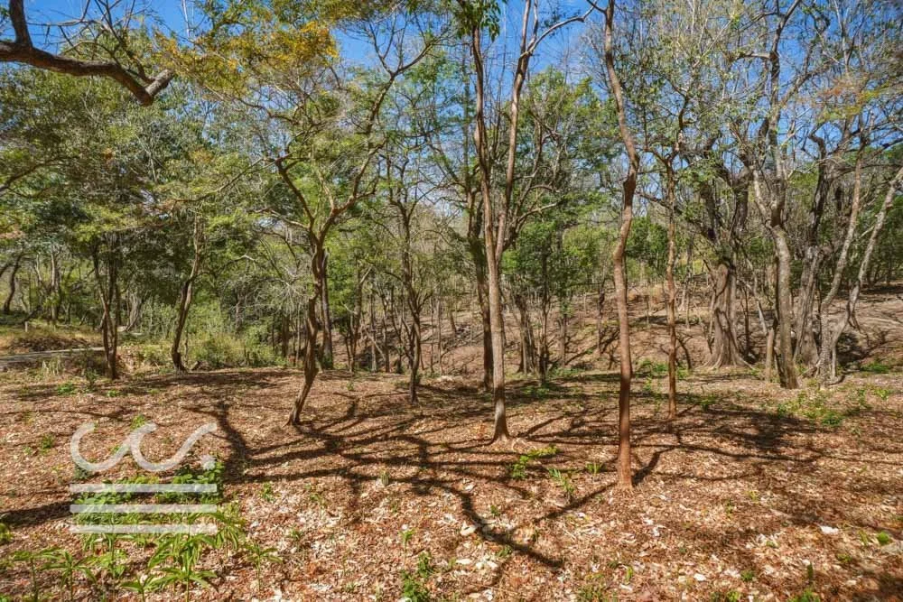 Delicias-Nathan-Lote-6C-Wanderlust-Sothebys-International-Realty-Nosara-Real-Estate-19.jpg