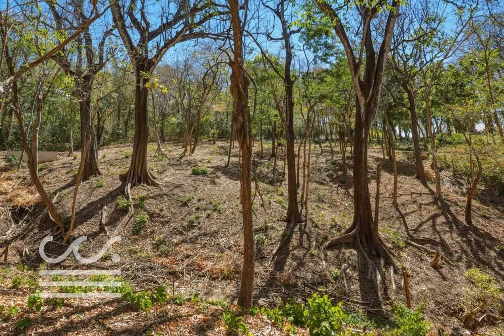 Delicias-Nathan-Lote-6C-Wanderlust-Sothebys-International-Realty-Nosara-Real-Estate-22.jpg
