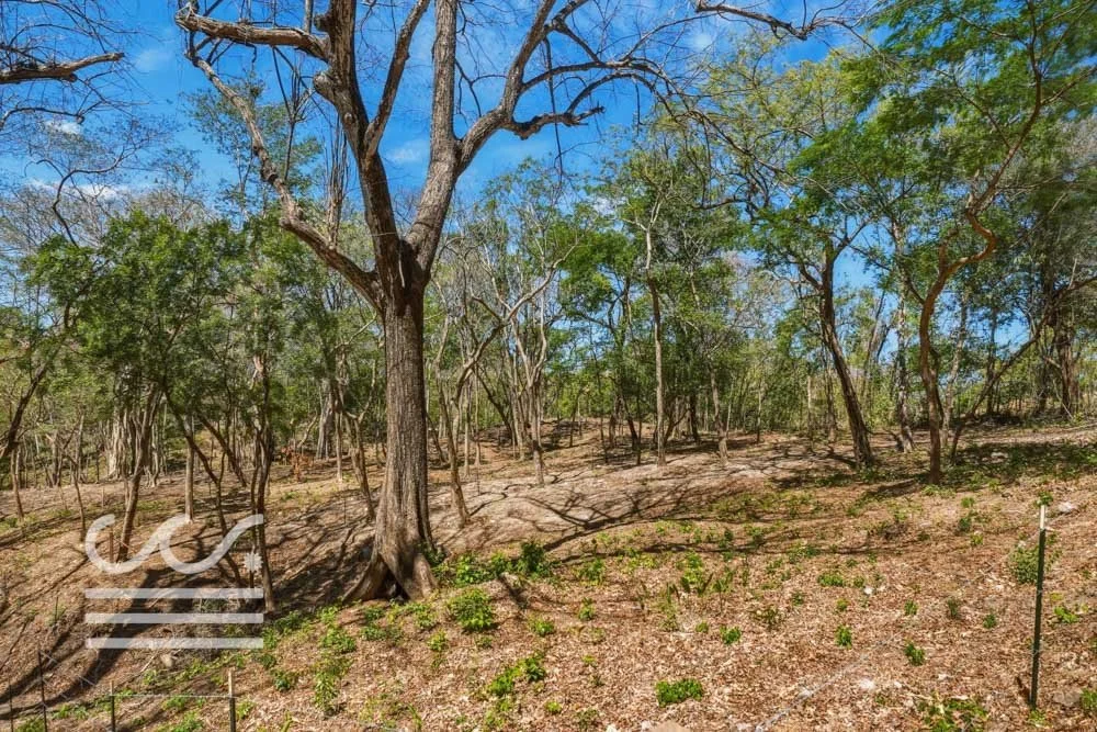 Delicias-Nathan-Lote-6C-Wanderlust-Sothebys-International-Realty-Nosara-Real-Estate-25.jpg