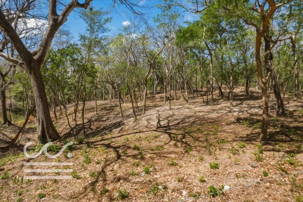 Delicias-Nathan-Lote-6C-Wanderlust-Sothebys-International-Realty-Nosara-Real-Estate-26.jpg