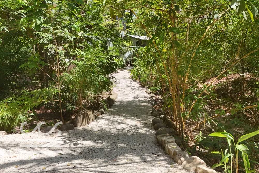 Ashaya-Wanderlust-Sothebys-International-Realty-Nosara-Real-Estate-3.jpg