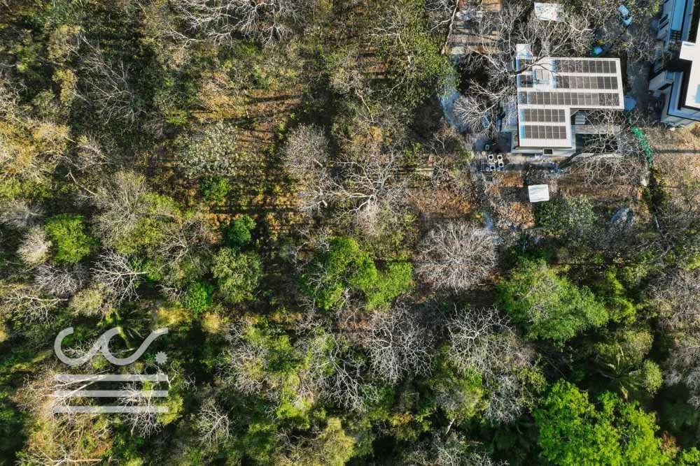 BETH SLATER-LOT7-Wanderlust-Sothebys-International-Realty-Nosara-Real-Estate-5.jpg