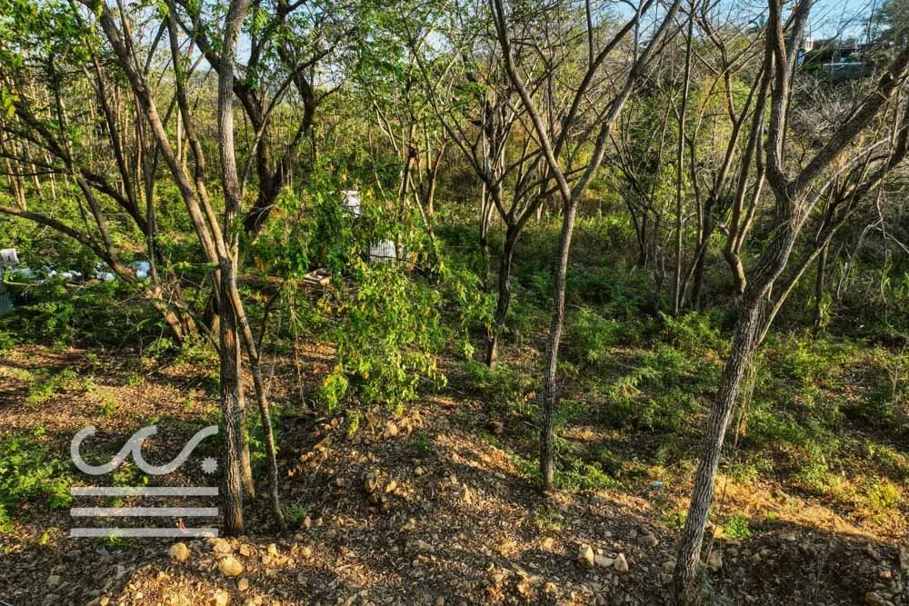 BETH SLATER-LOT7-Wanderlust-Sothebys-International-Realty-Nosara-Real-Estate-9.jpg