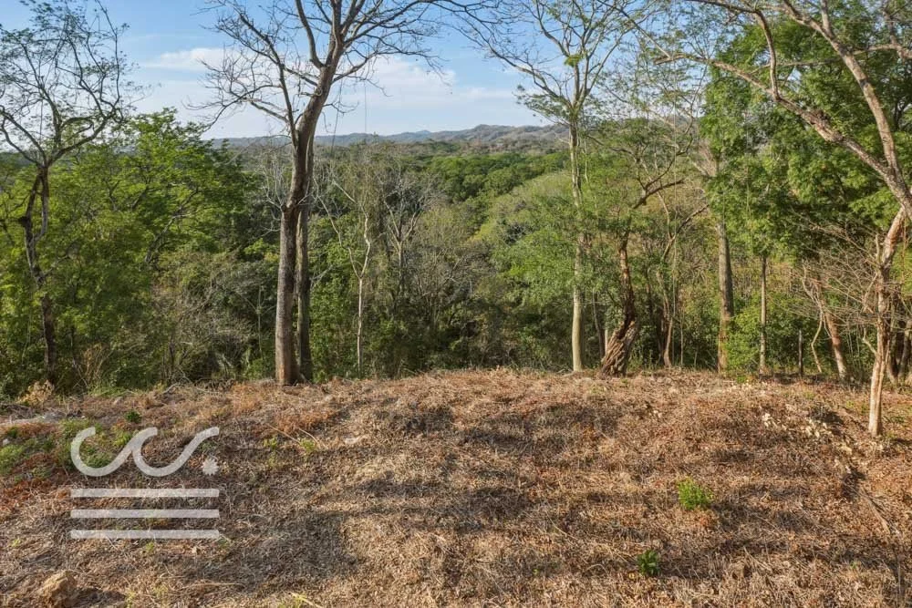BETH SLATER-LOT7-Wanderlust-Sothebys-International-Realty-Nosara-Real-Estate-16.jpg