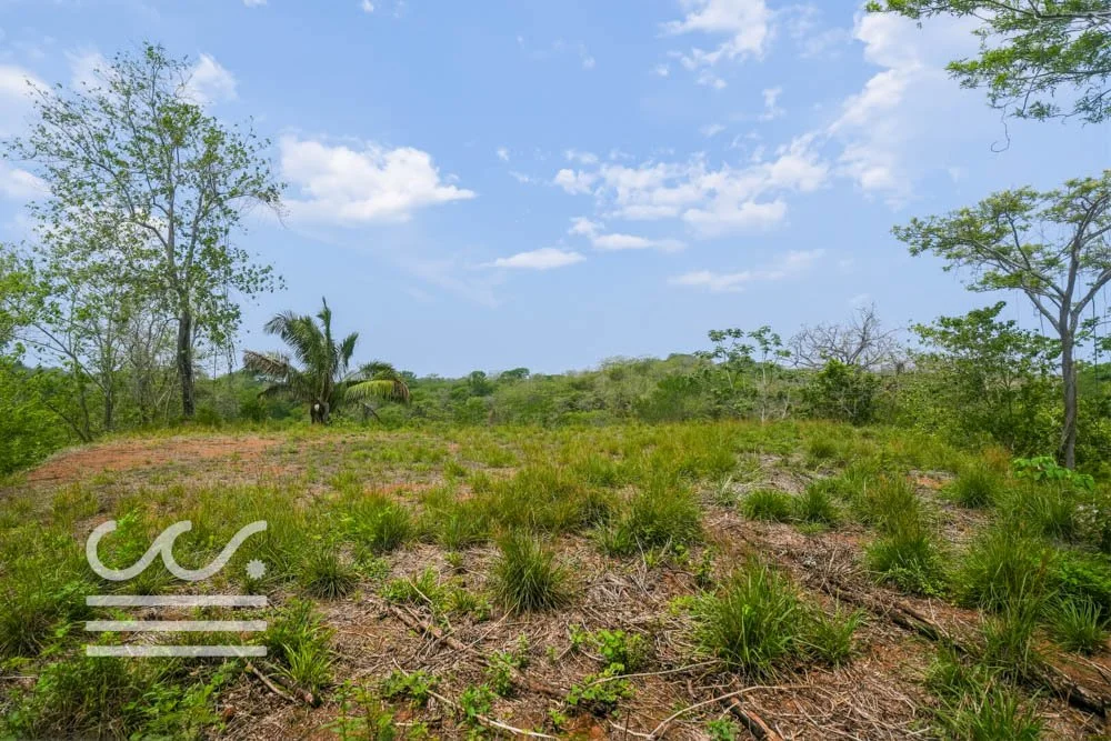 Marbella_lote-Wanderlust-Sothebys-International-Realty-Nosara-Real-Estate-1.jpg