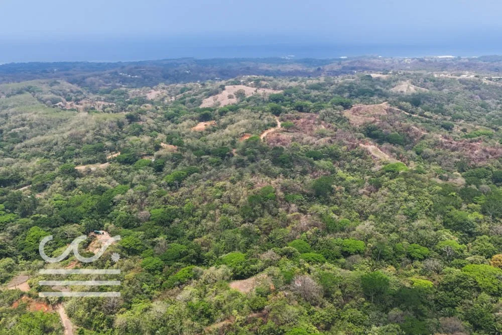 Marbella_lote-Wanderlust-Sothebys-International-Realty-Nosara-Real-Estate-2.jpg