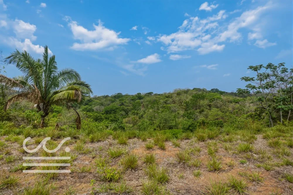 Marbella_lote-Wanderlust-Sothebys-International-Realty-Nosara-Real-Estate-17.jpg
