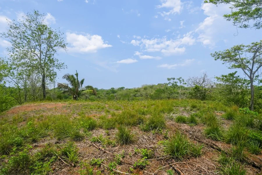 1.27 Acre Lot in Marbella