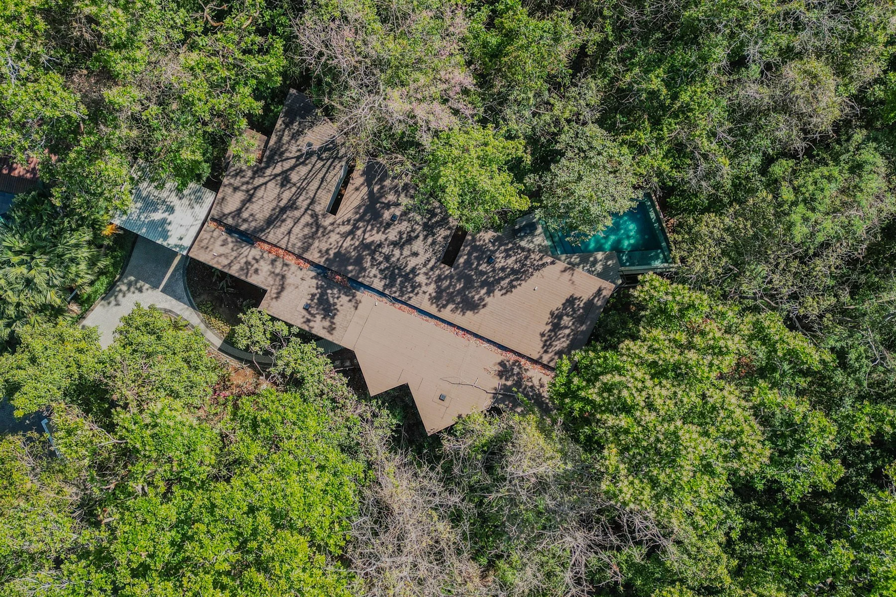 54Copy of Casa-Bosque-Wanderlust-Sothebys-International-Realty-Nosara-Real-Estate-33.jpg