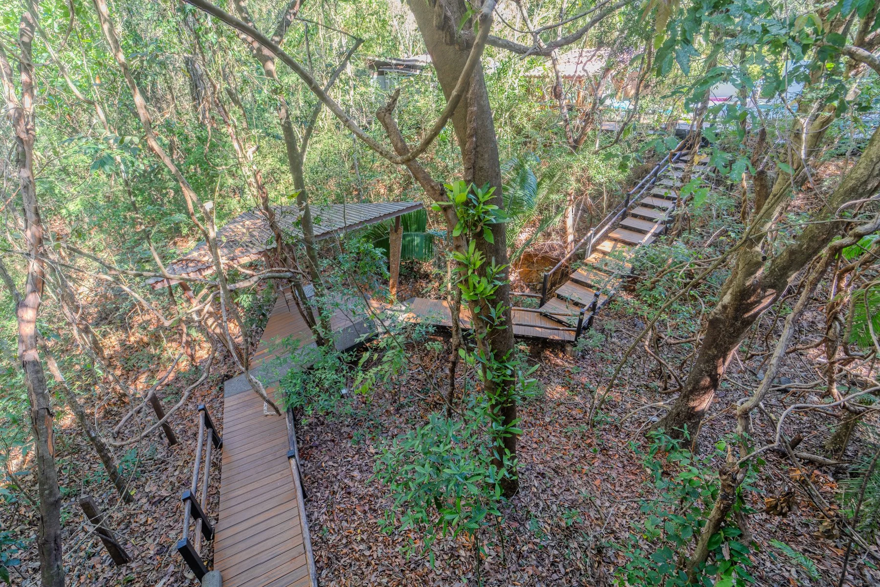 74Copy of Casa-Arbol-Wanderlust-Sothebys-International-Realty-Nosara-Real-Estate-20.jpg