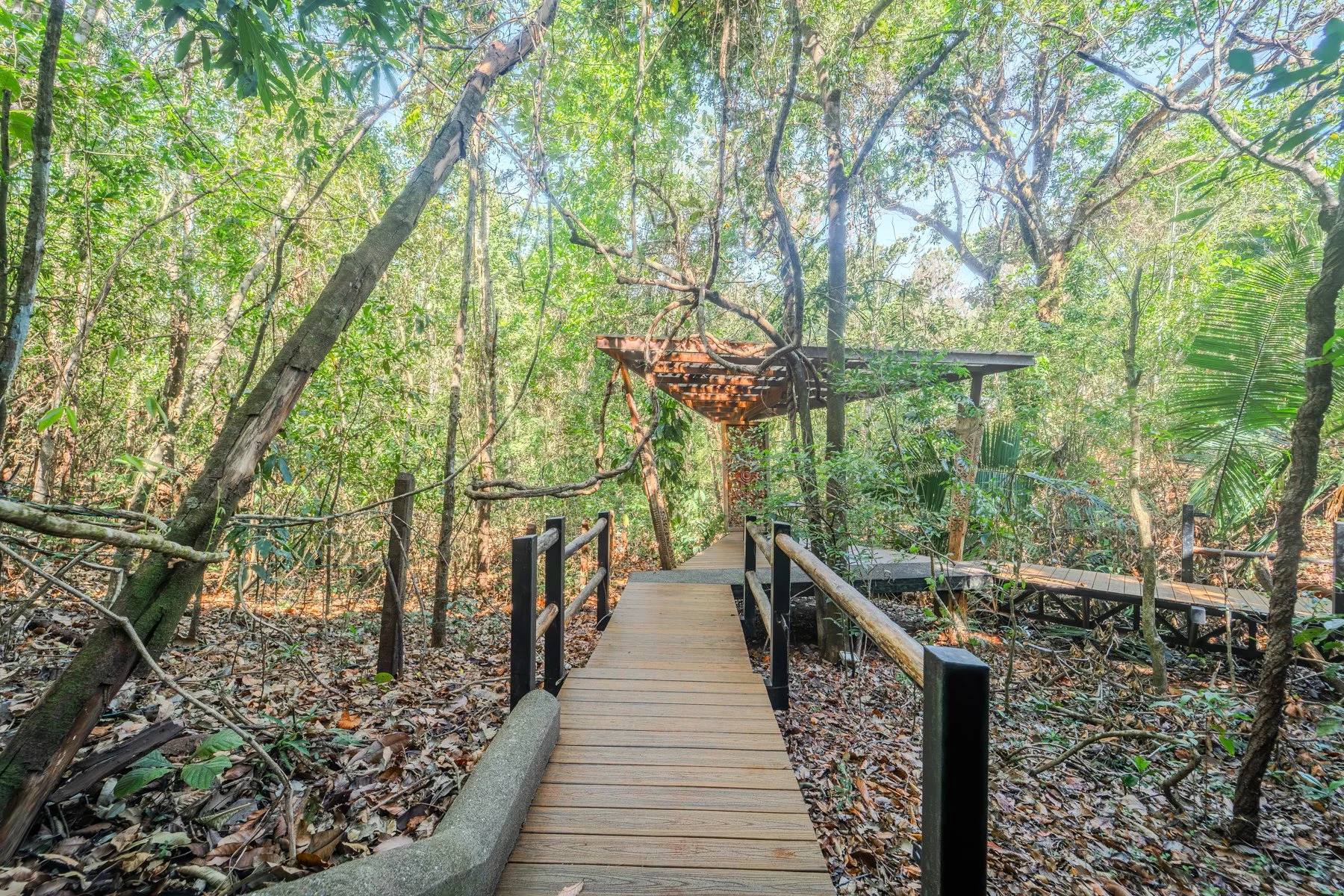 78Copy of Casa-Arbol-Wanderlust-Sothebys-International-Realty-Nosara-Real-Estate-24.jpg