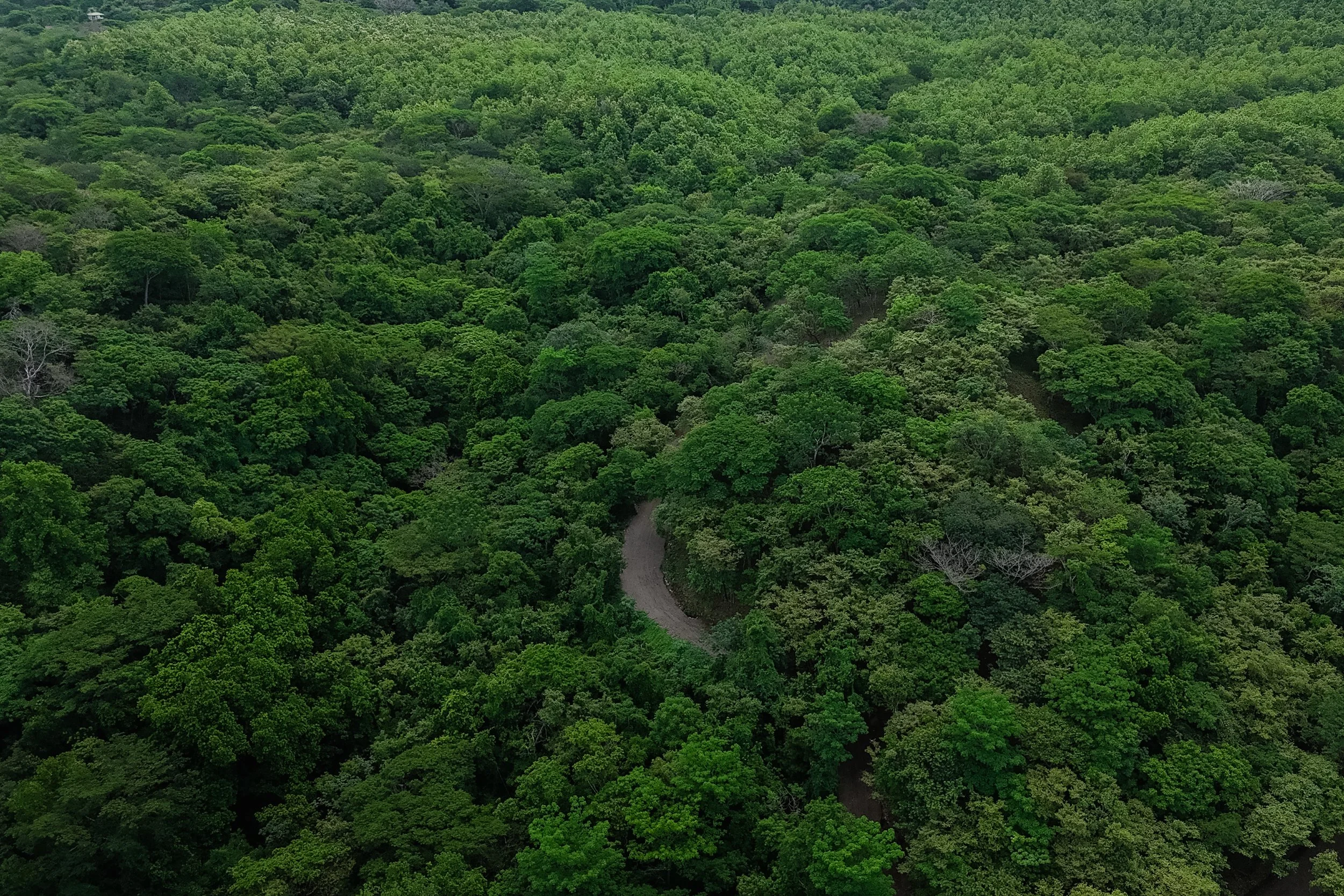 dji_fly_20260604_100938_0257_1780592519067_photo.JPG