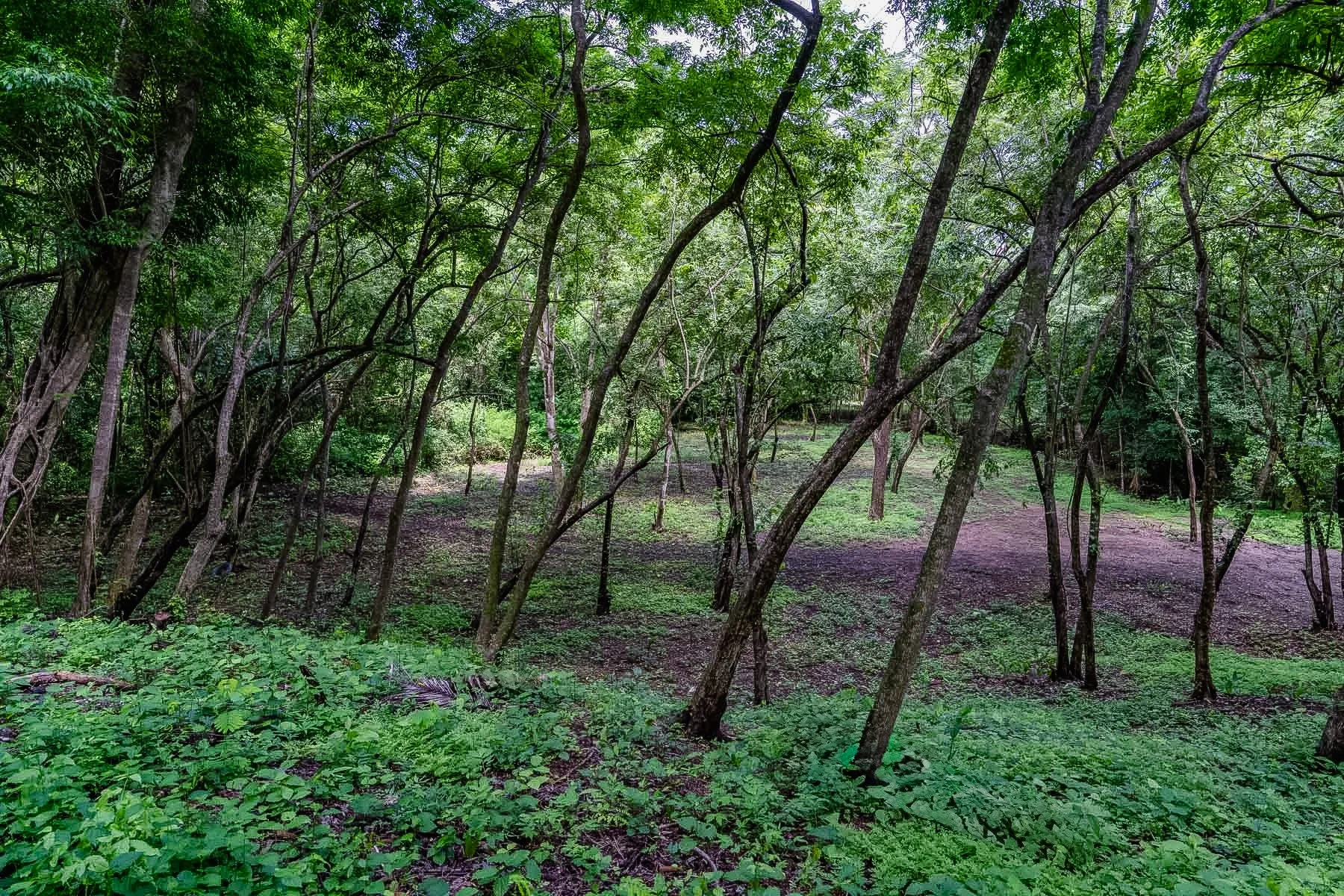 Lot 10-5.JPG