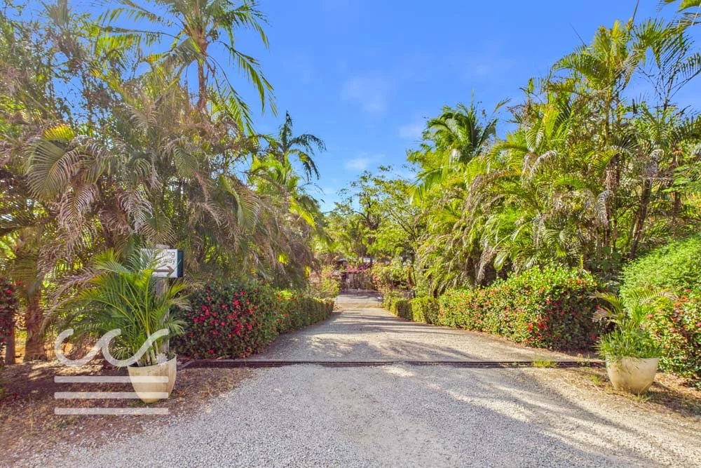condo Las Flores casa paz-Wanderlust-Sothebys-International-Realty-Nosara-Real-Estate-17.jpg