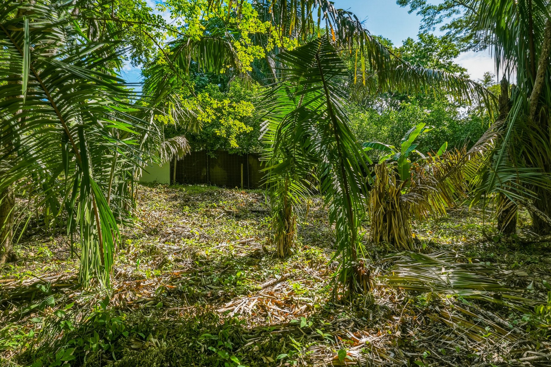 L34-Wanderlust-Sothebys-International-Realty-Nosara-Real-Estate-7.jpg