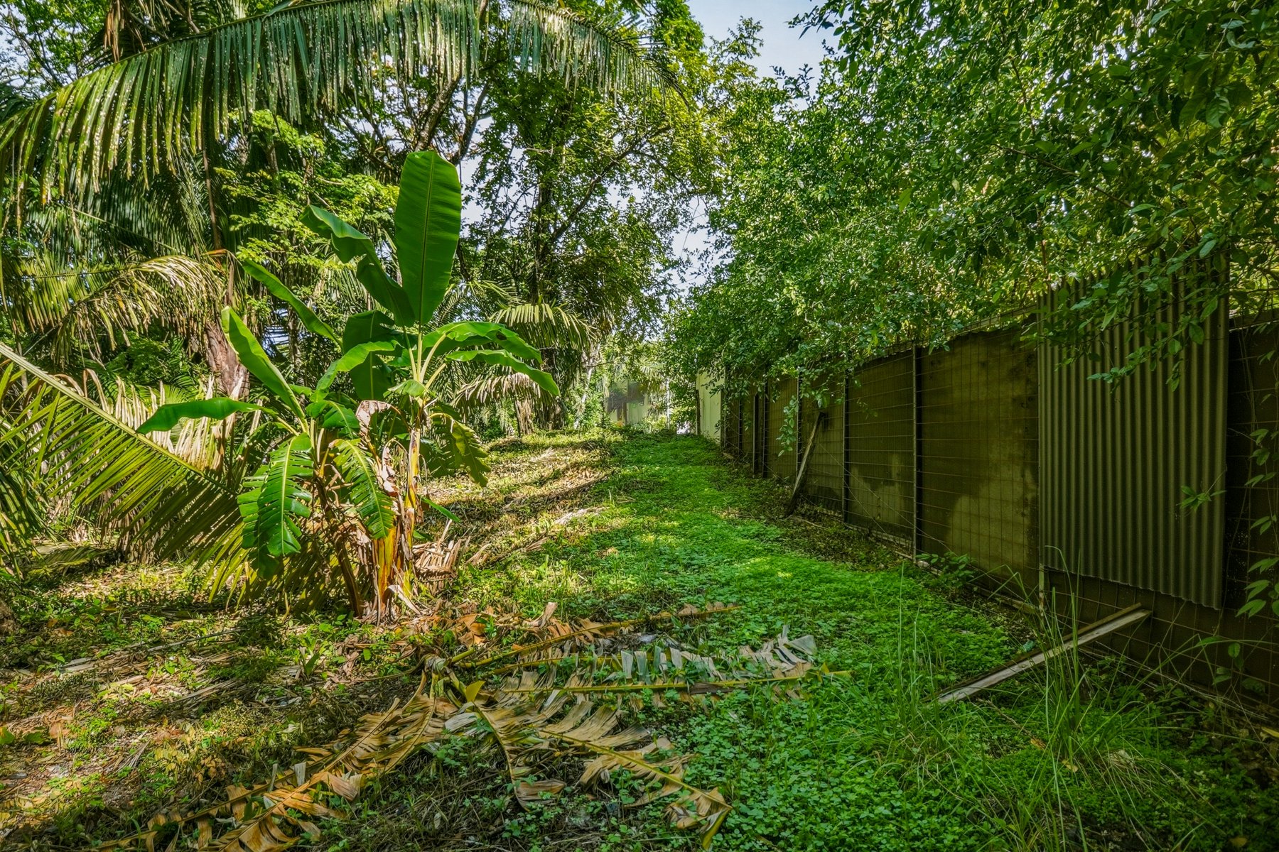 L34-Wanderlust-Sothebys-International-Realty-Nosara-Real-Estate-10.jpg