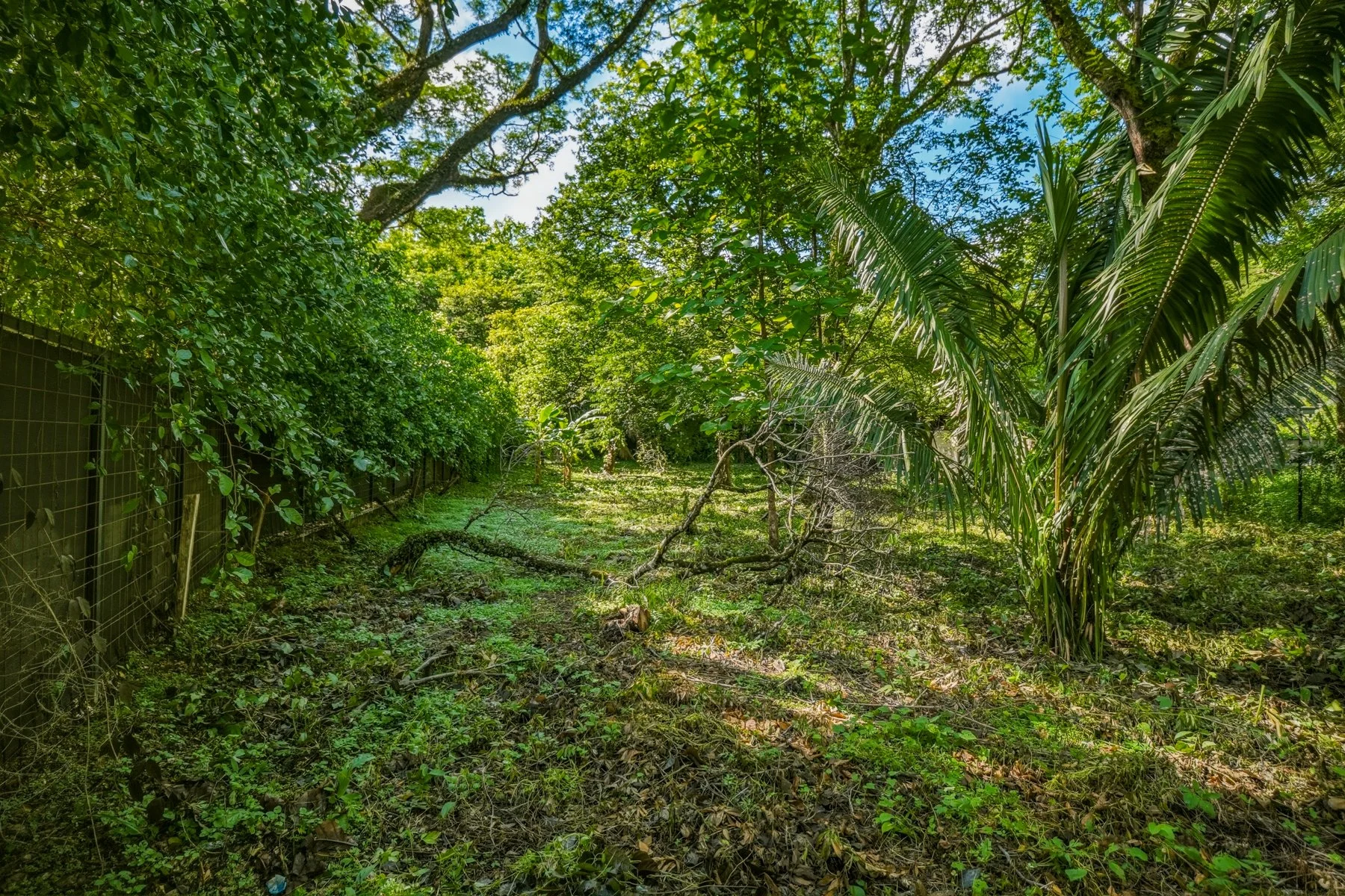 L34-Wanderlust-Sothebys-International-Realty-Nosara-Real-Estate-11.jpg