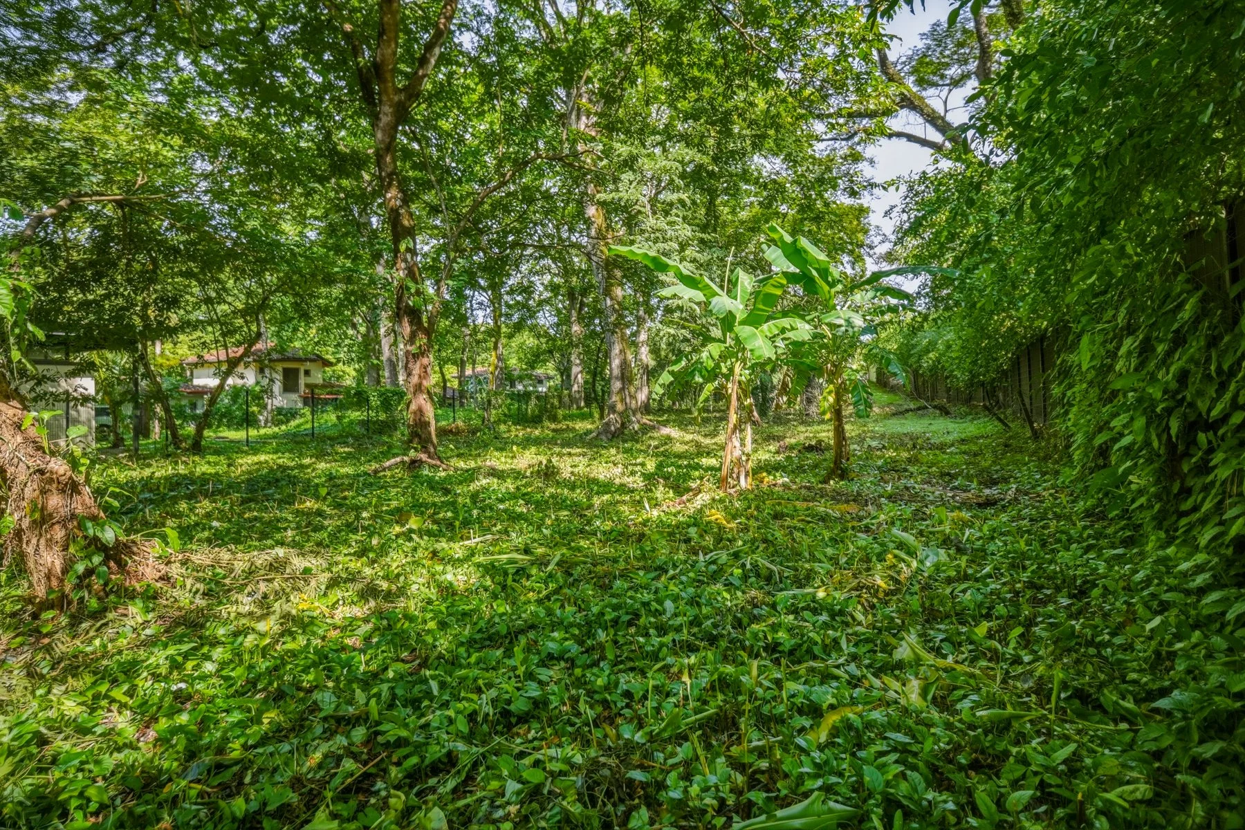 L34-Wanderlust-Sothebys-International-Realty-Nosara-Real-Estate-18.jpg