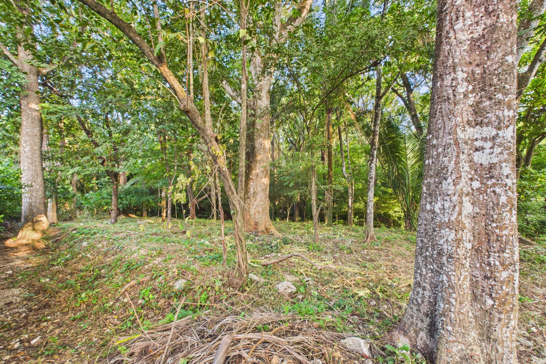 L-15.1 - Villa W. Jarret Willis-section Lote-Wanderlust-Sothebys-International-Realty-Nosara-Real-Estate-9.jpg