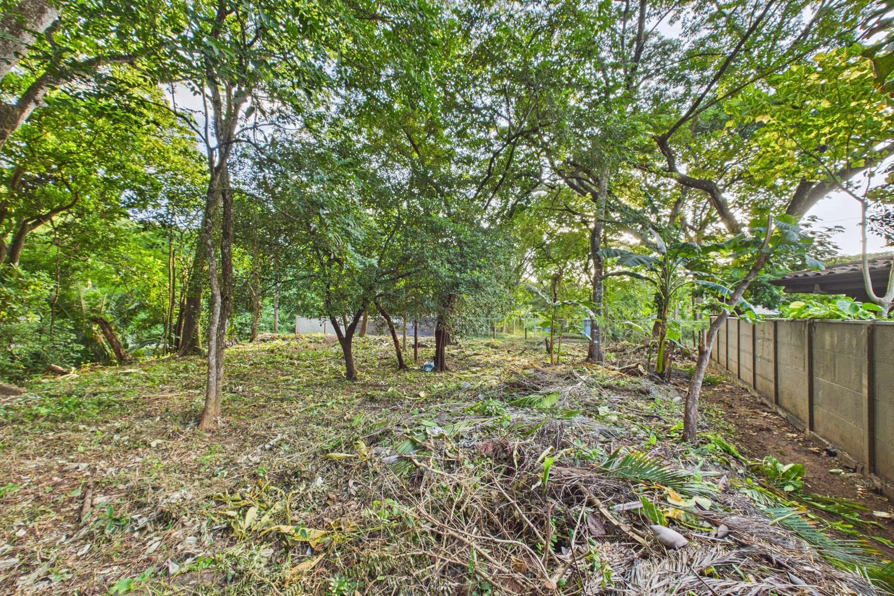 L-15.1 - Villa W. Jarret Willis-section Lote-Wanderlust-Sothebys-International-Realty-Nosara-Real-Estate-10.jpg
