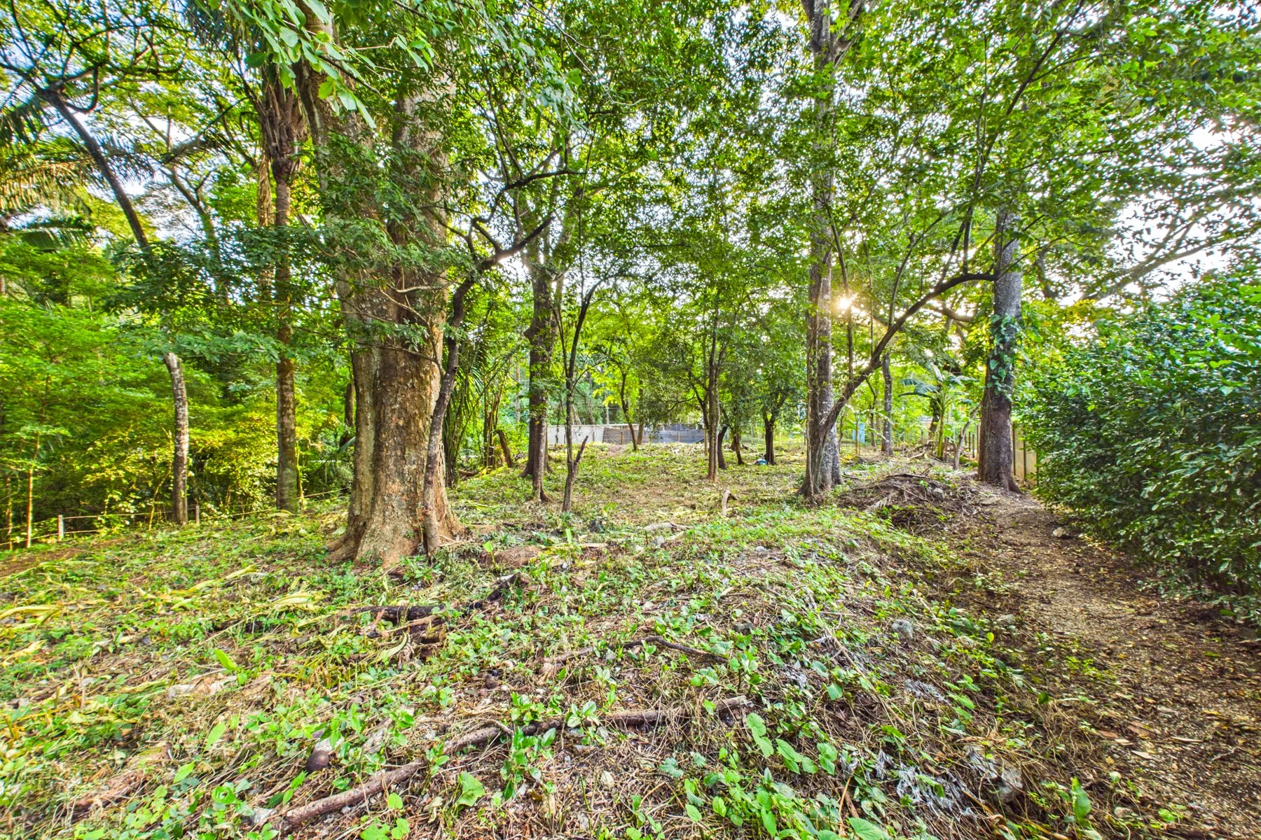 L-15.1 - Villa W. Jarret Willis-section Lote-Wanderlust-Sothebys-International-Realty-Nosara-Real-Estate-11.jpg