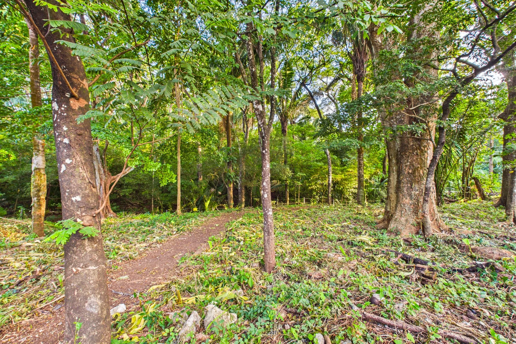 L-15.1 - Villa W. Jarret Willis-section Lote-Wanderlust-Sothebys-International-Realty-Nosara-Real-Estate-15.jpg