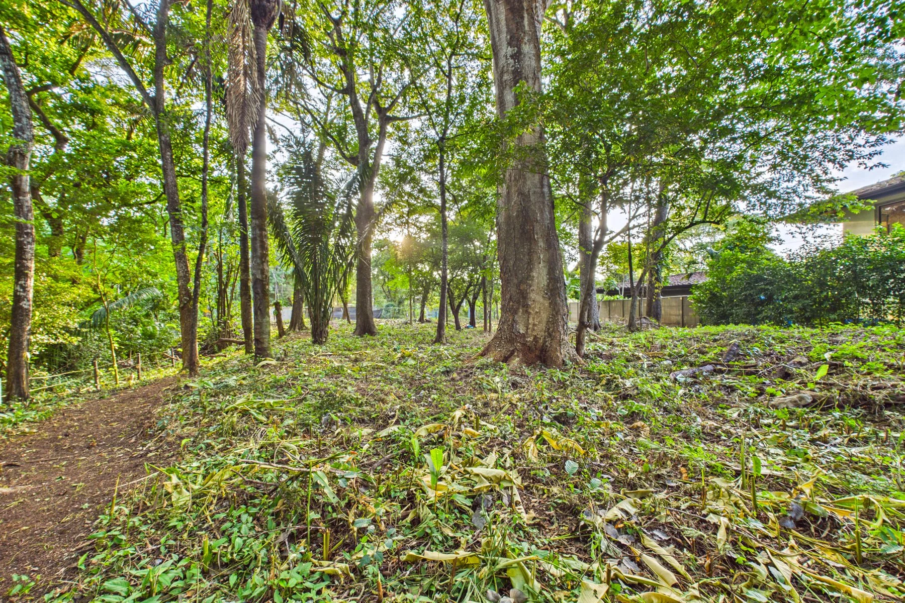 L-15.1 - Villa W. Jarret Willis-section Lote-Wanderlust-Sothebys-International-Realty-Nosara-Real-Estate-18.jpg