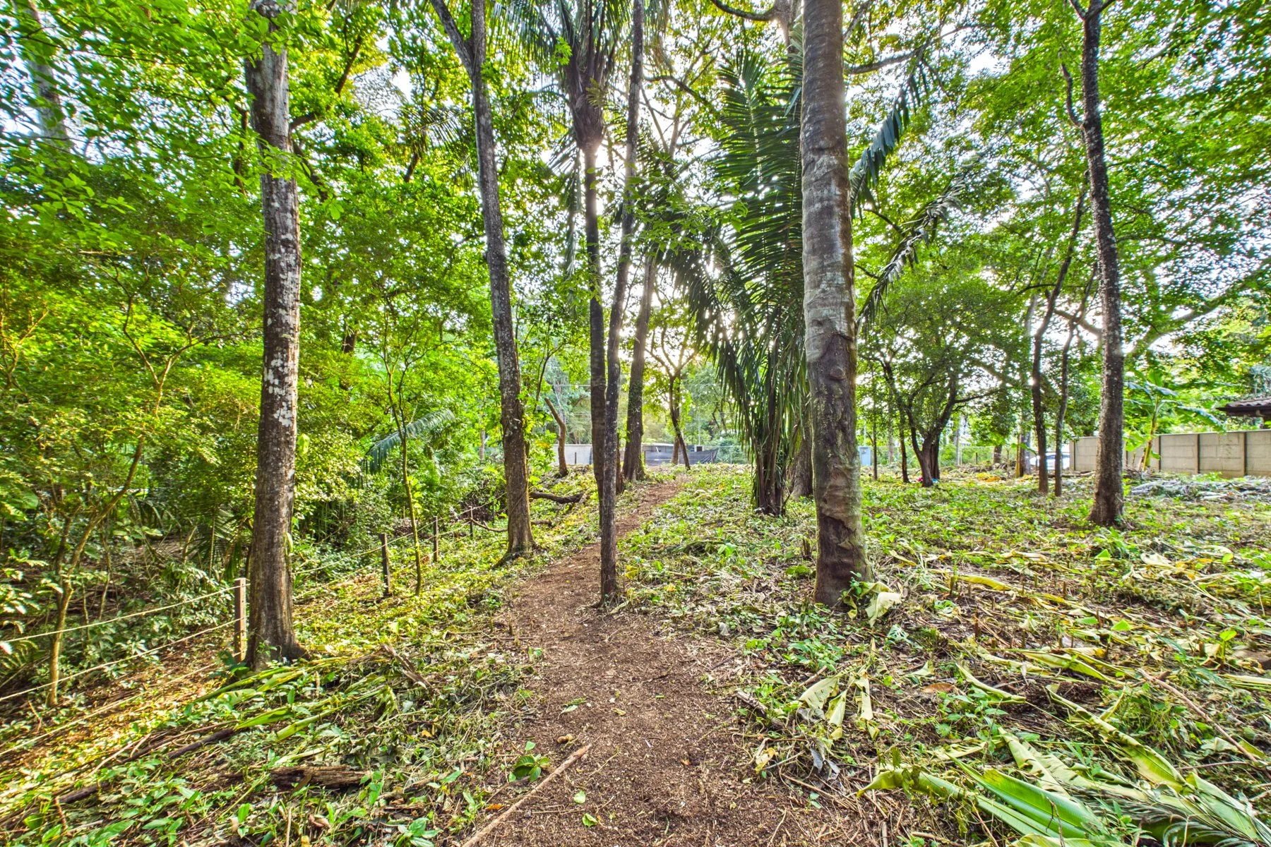 L-15.1 - Villa W. Jarret Willis-section Lote-Wanderlust-Sothebys-International-Realty-Nosara-Real-Estate-21.jpg