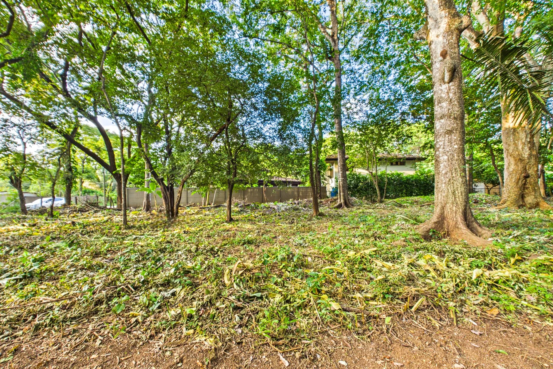 L-15.1 - Villa W. Jarret Willis-section Lote-Wanderlust-Sothebys-International-Realty-Nosara-Real-Estate-24.jpg