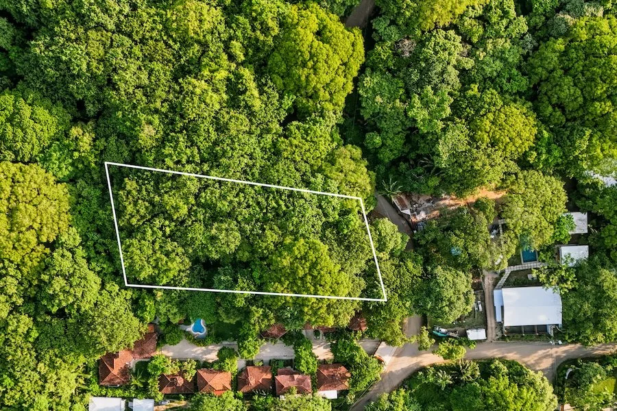 Lote Cenizaro L-15a