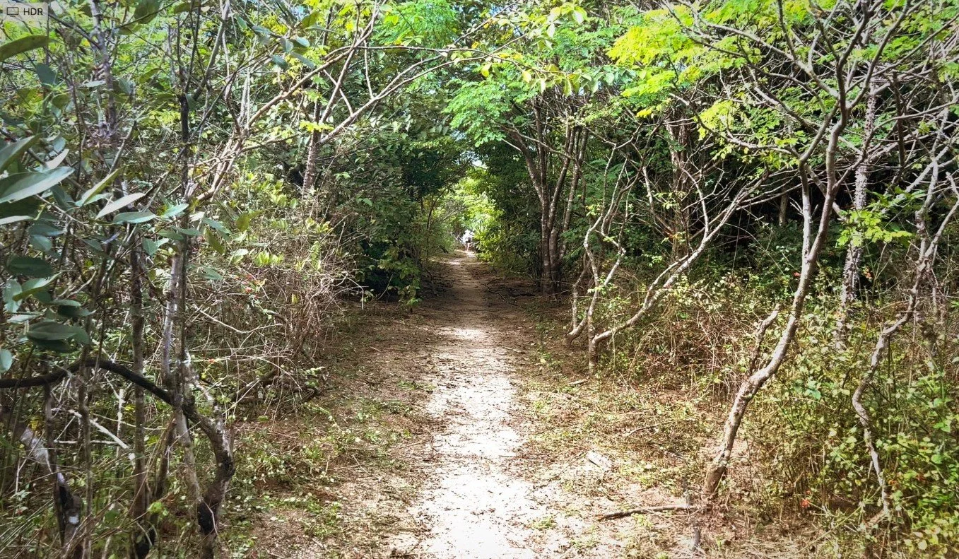 11 beachpath.jpg