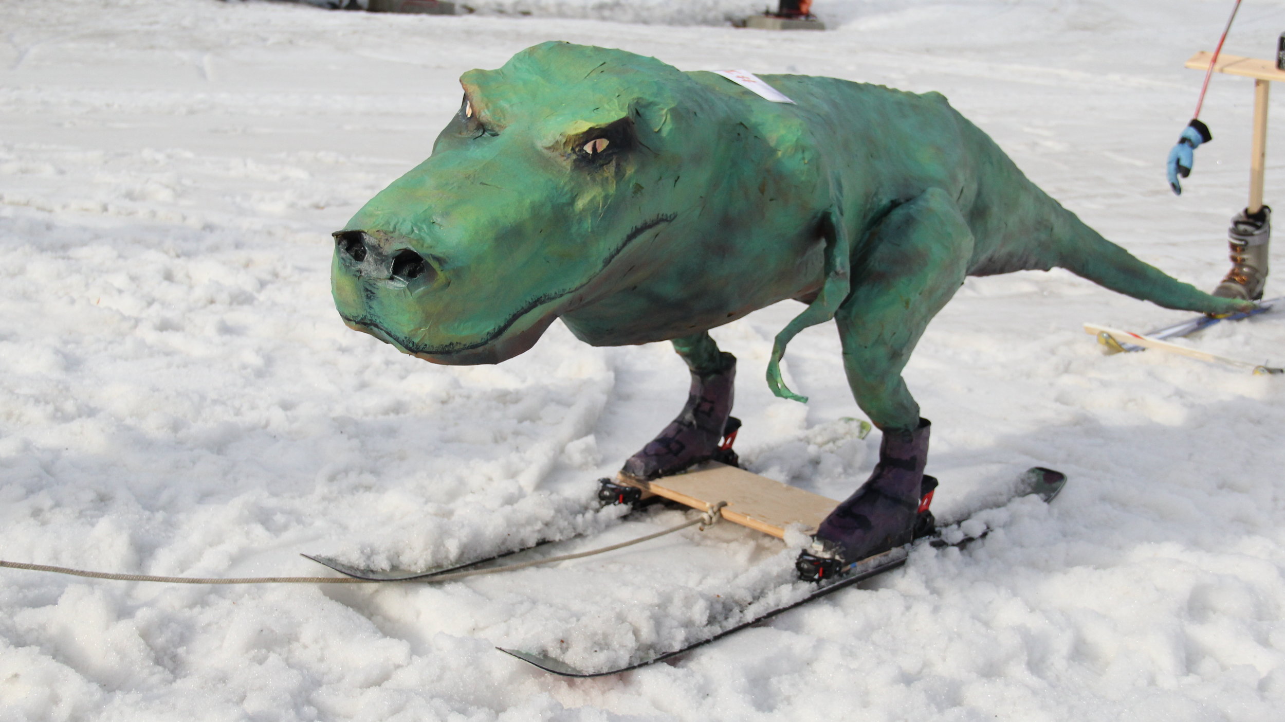 Ski Rex