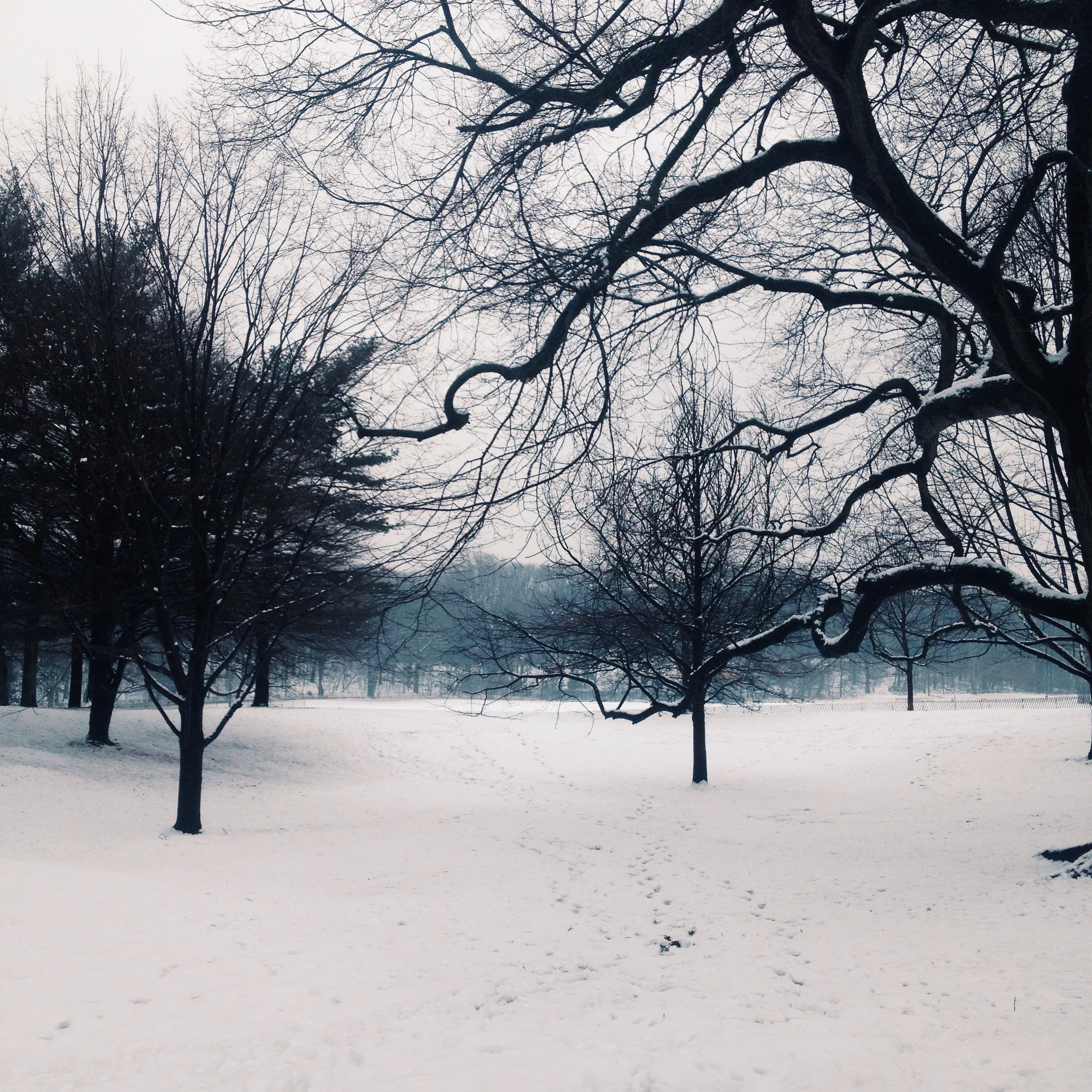 A snowy Prospect Park.