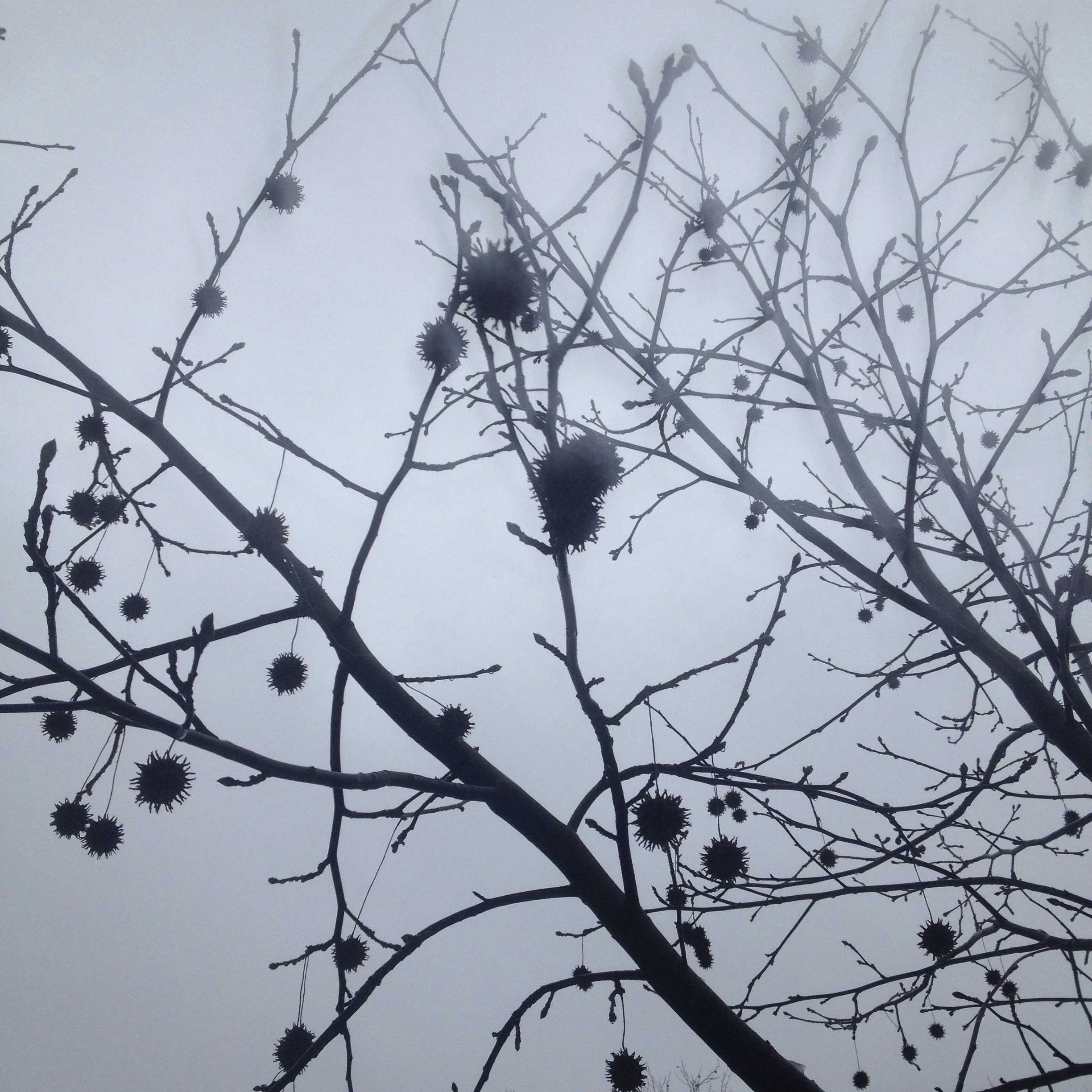 Burrs and brrrs.