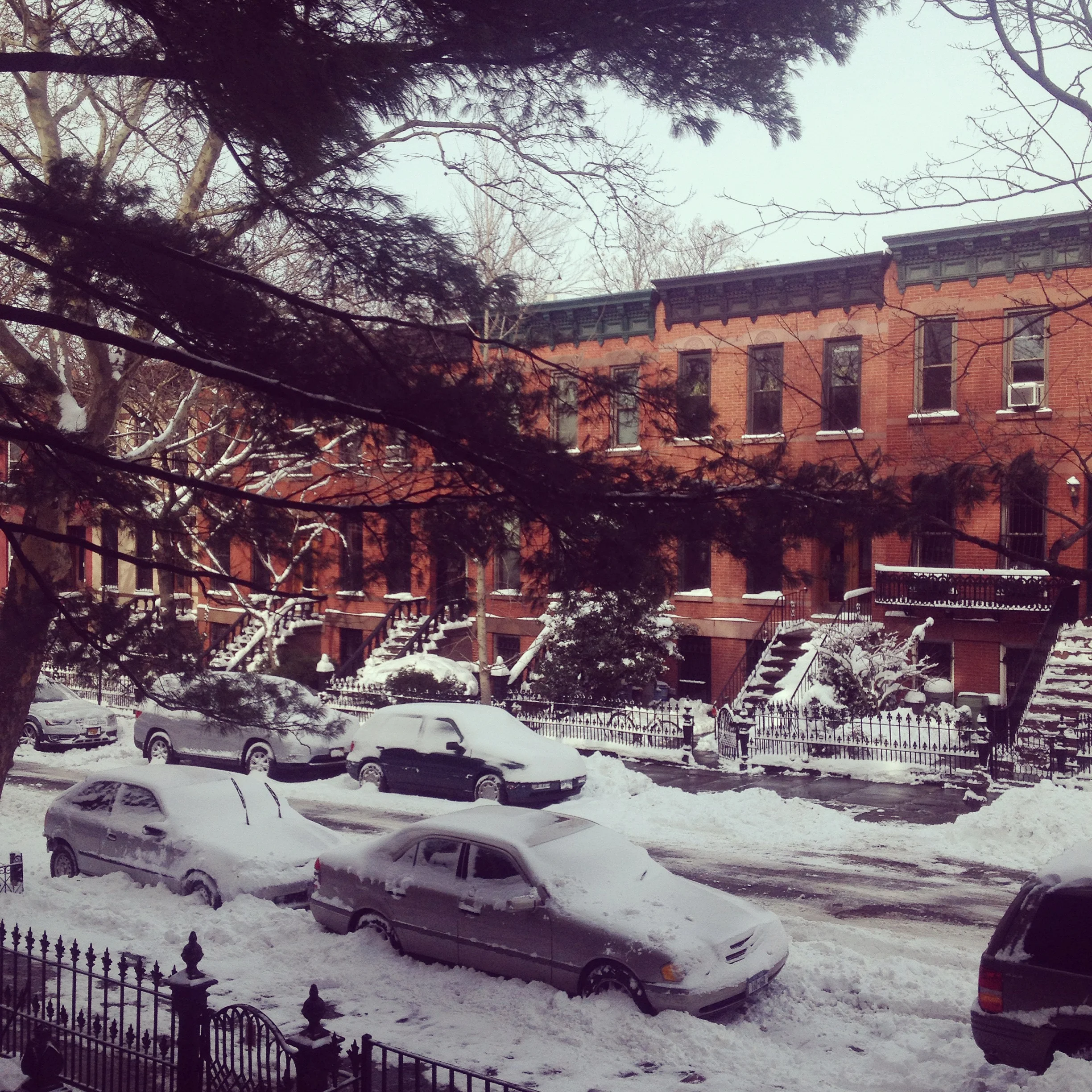 The view from the stoop