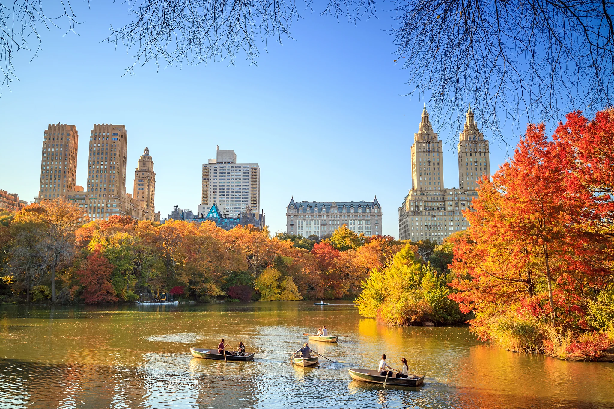 new york autumn.jpg
