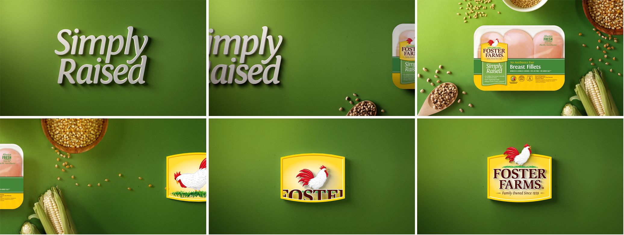 VersionD_collage.png