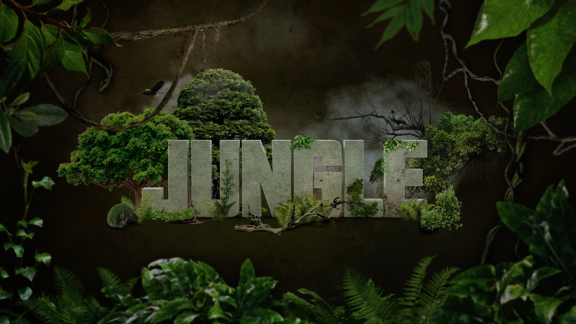 TheWheel_TC_Jungle_v04.jpg