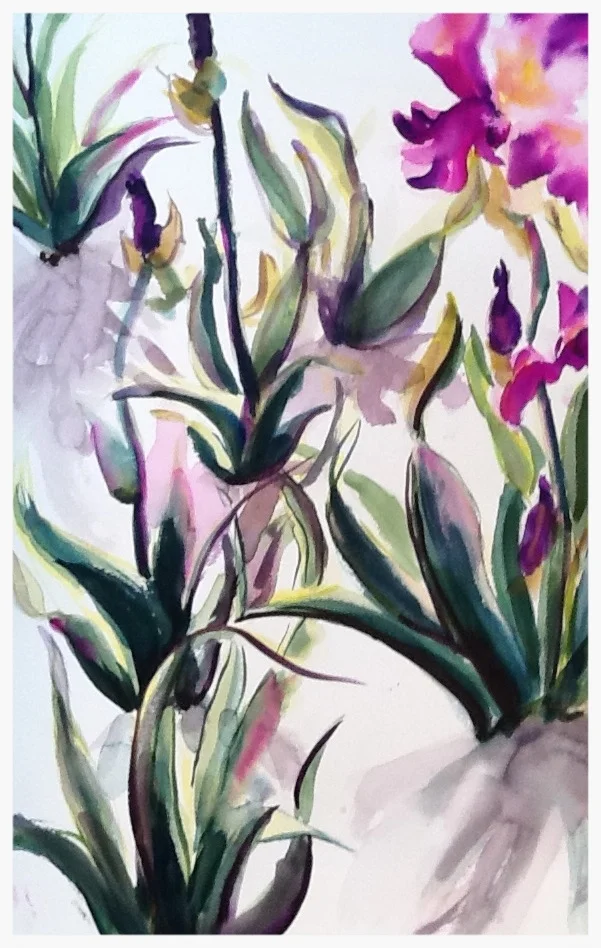 Iris in Fushsia - © Donna Lovely