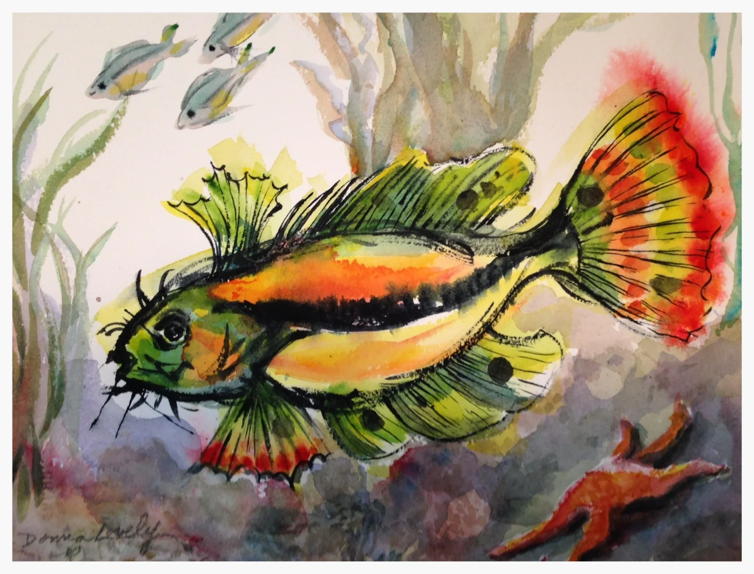 Colorful Fish - © Donna Lovely