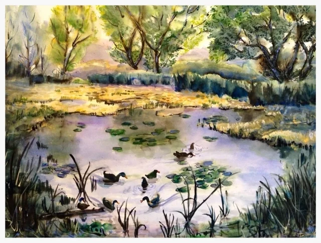 The Duck Pond - © Donna Lovely