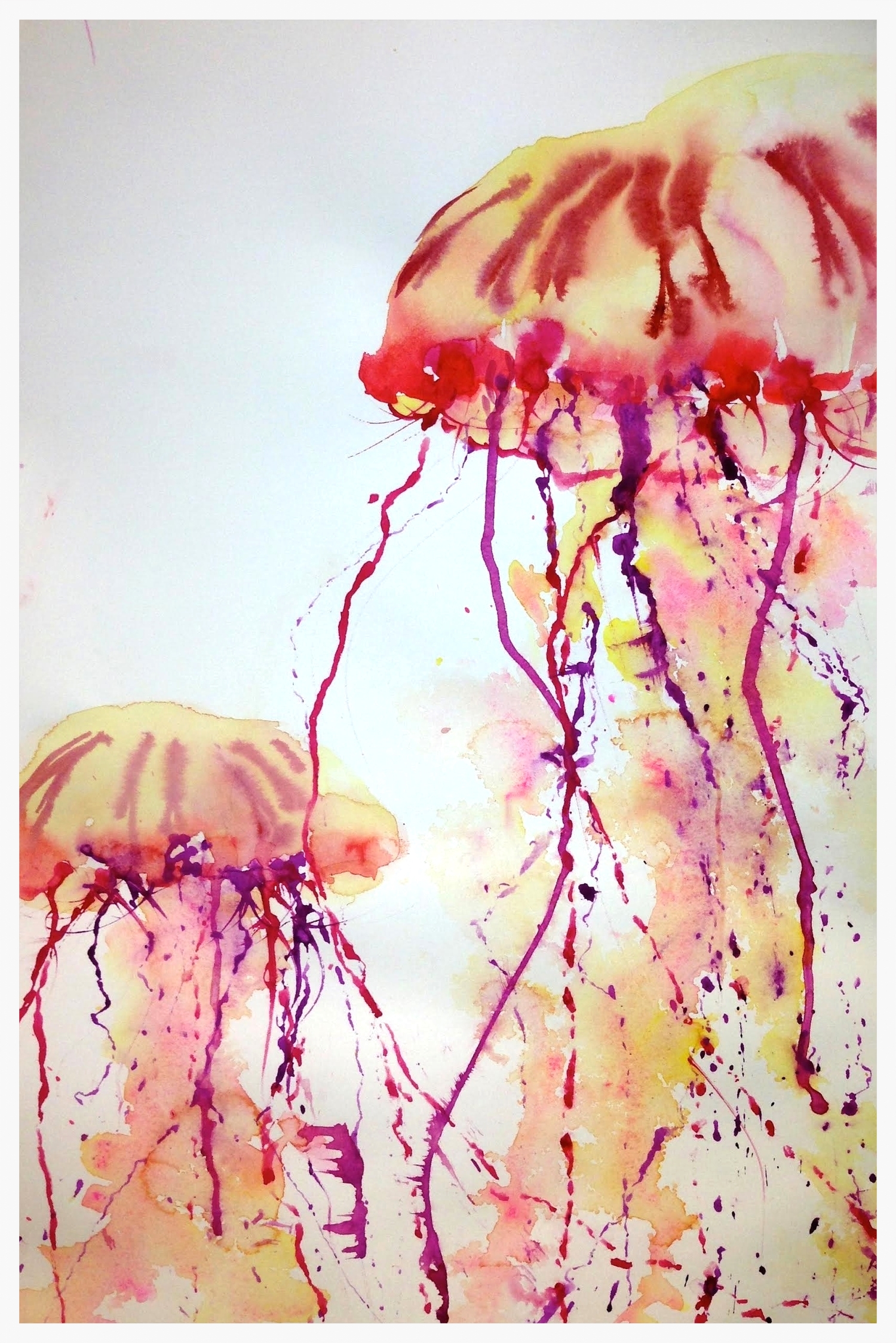 Jellies 2 - © Donna Lovely