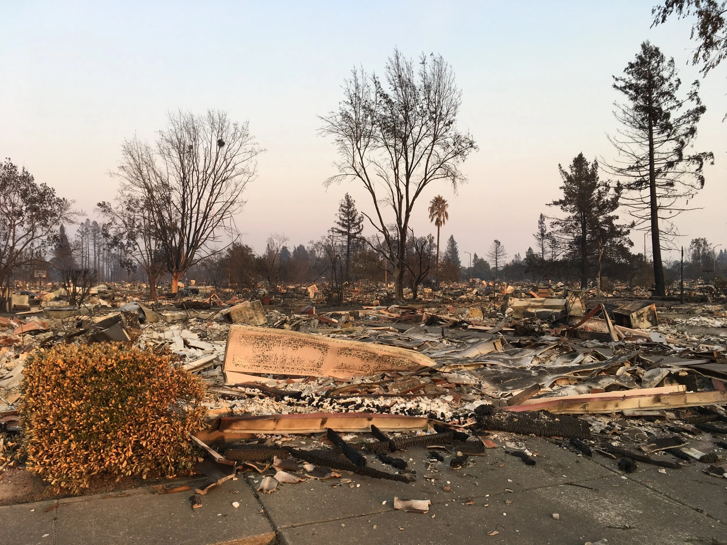 Images courtesy Mormon Newsroom