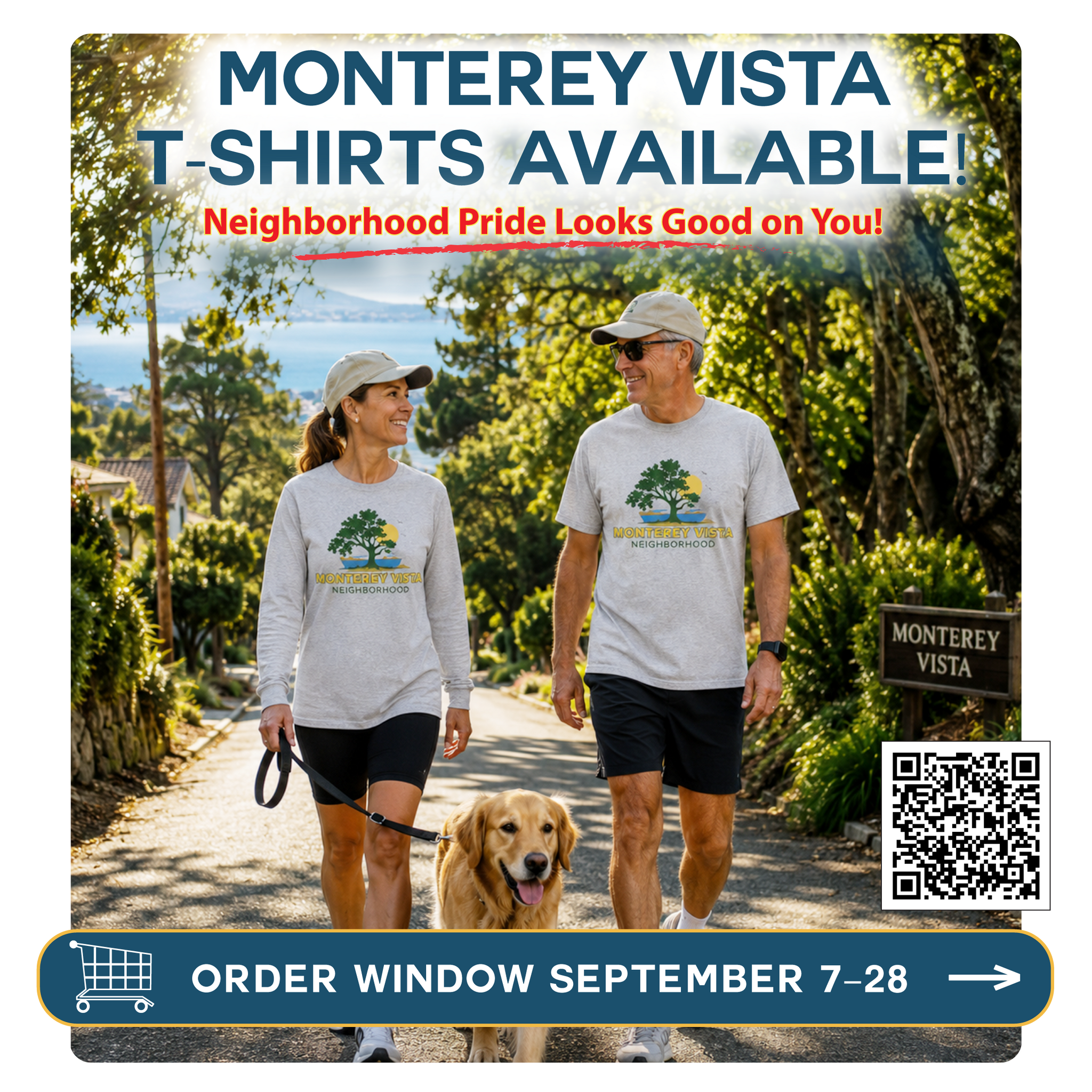T-shirt Sales Post.png