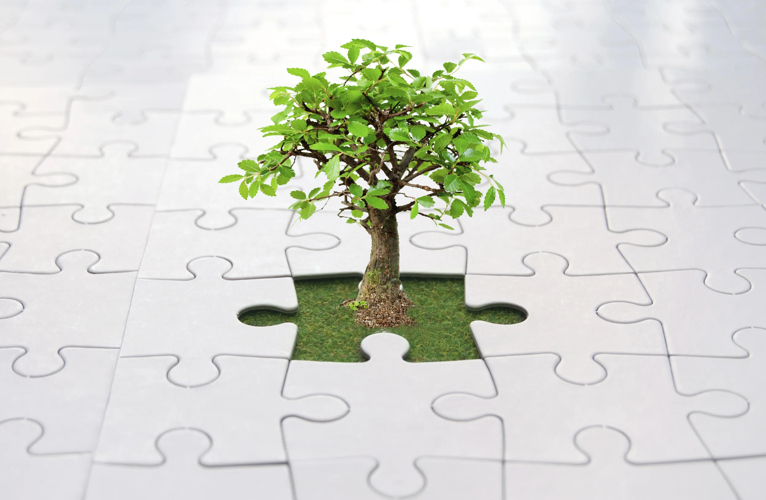 Деревянный пазл "дерево". Деревянный пазл "дерево". Ответ tree puzzle. Деревянный пазл дерево жизни. Пазл дерево.